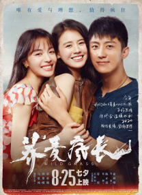 农村寡妇偷人高潮完整版