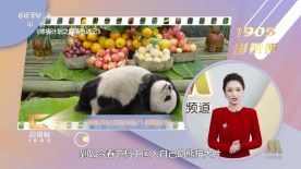 大学生一级毛片全黄毛片黄